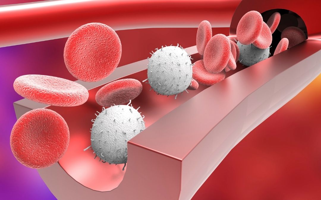 Qué pasa cuando estoy en hipnosis