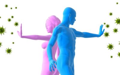 Potenciación del sistema inmune